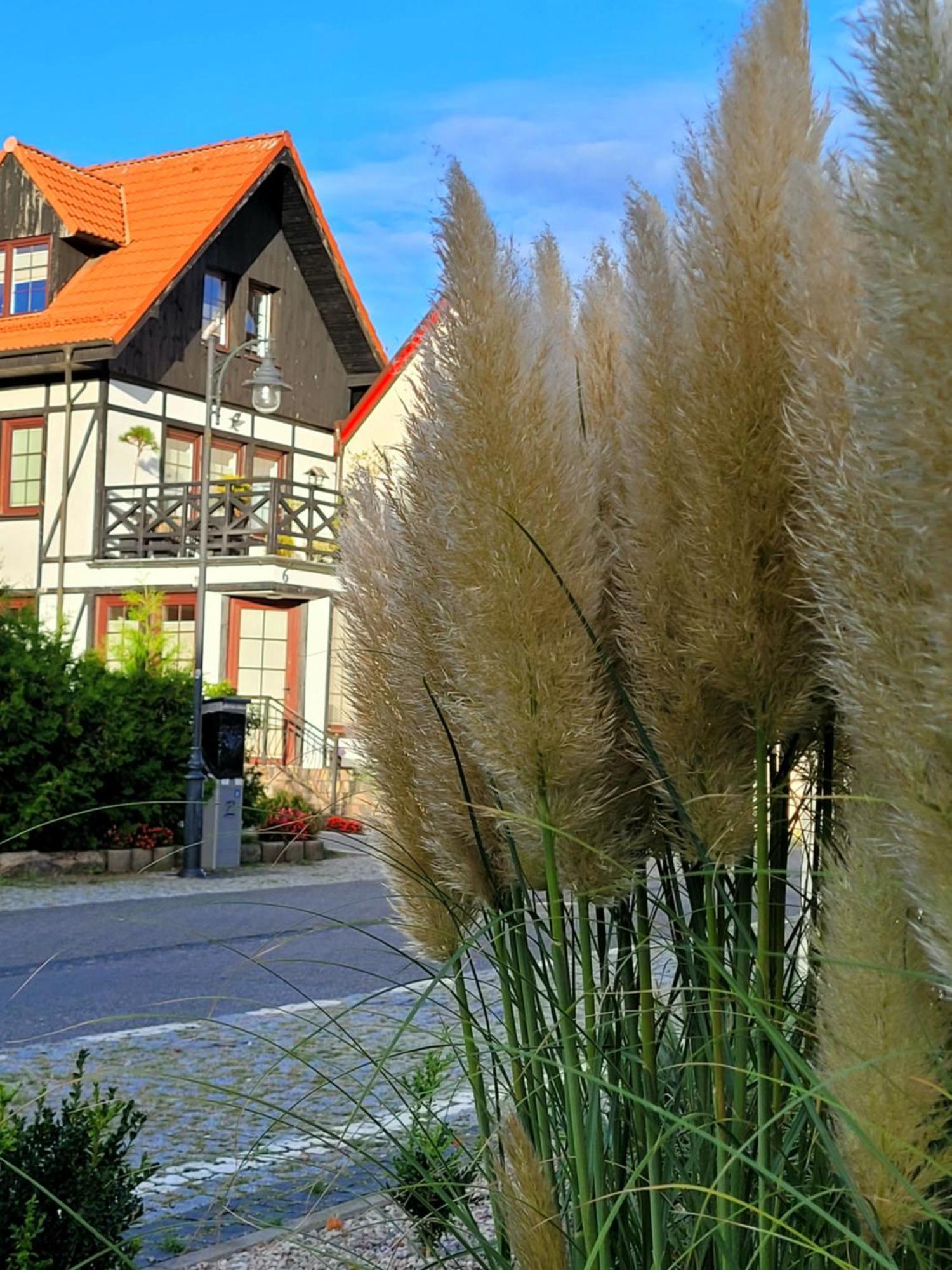 Appartamento Dom Aptekarza Ustka Esterno foto